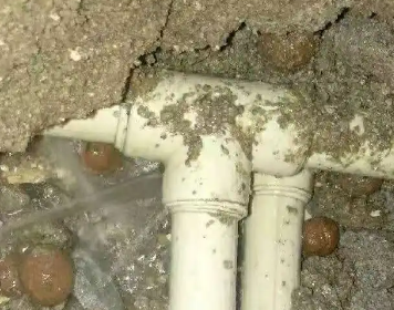 龙川测漏水多少钱