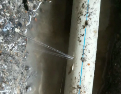 龙川测漏水哪家好