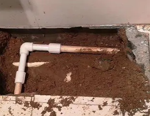 龙川测漏水哪家好