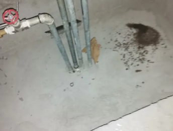 龙川卫生间测漏水价格明细