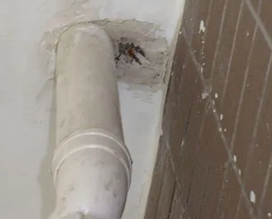 龙川漏水检测哪家好